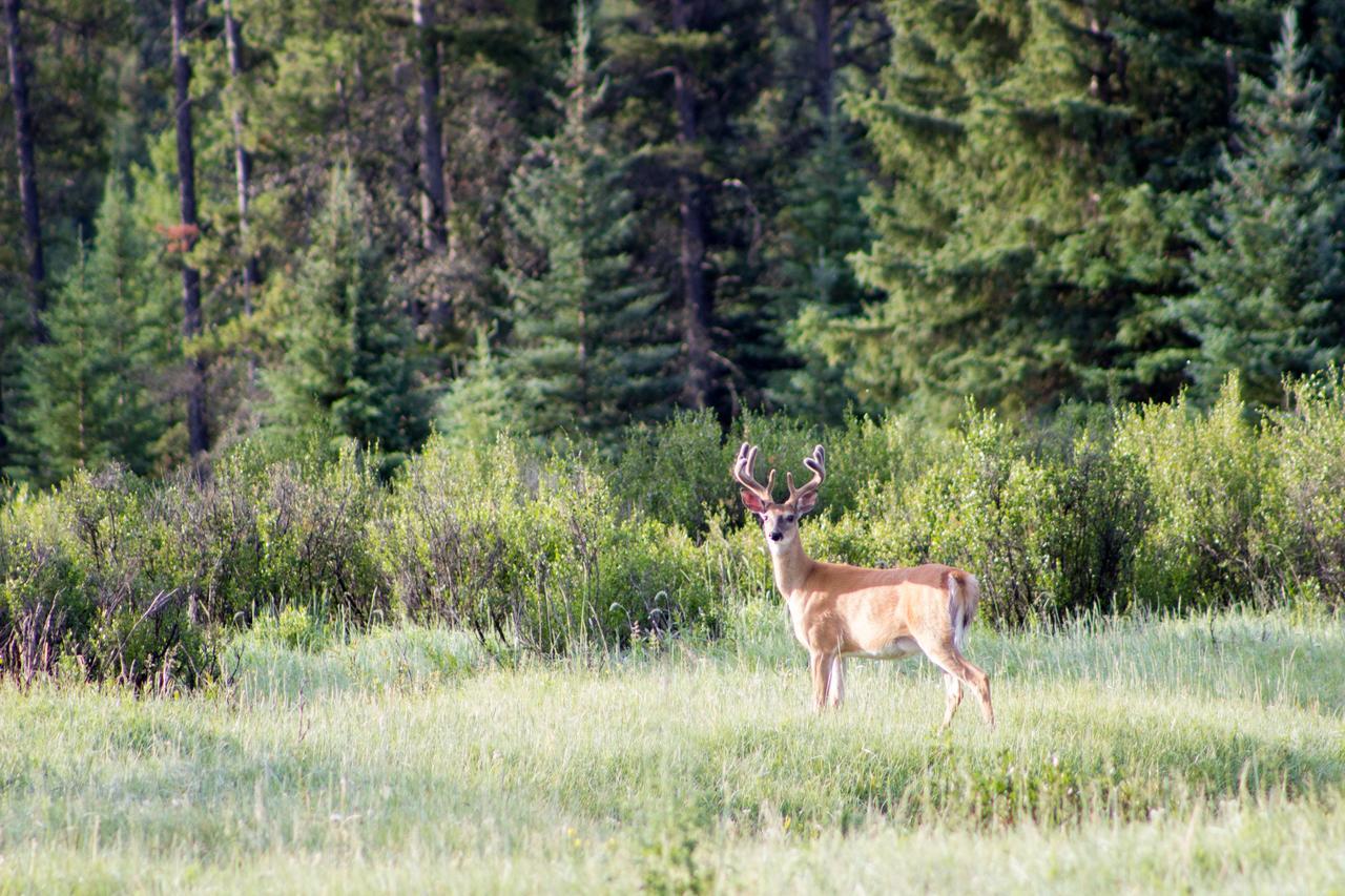 Rock Lake Lodge Rock Lake Lodge Provincial Park Exteriör bild